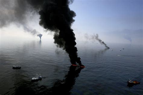 The Deepwater Horizon Olio Spill: Catastrofe Ambientale e Crollo Economico nella Louisiana del XXI Secolo